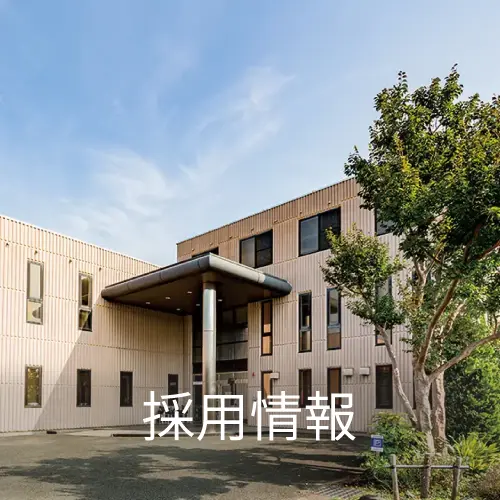 採用情報